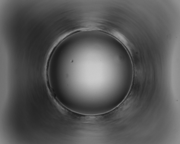 X0000096701485200802191438