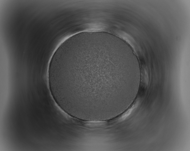 X0000096701487200802191438