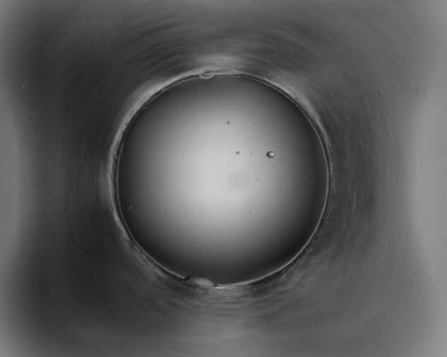 X0000096701488200802191438