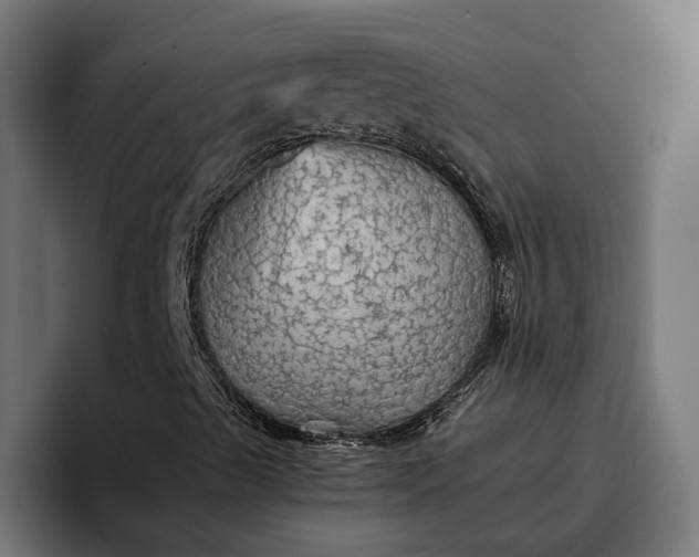 X0000096701489200802191437