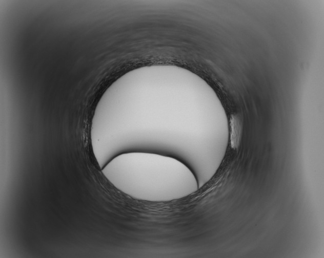 X0000096701491200802191437