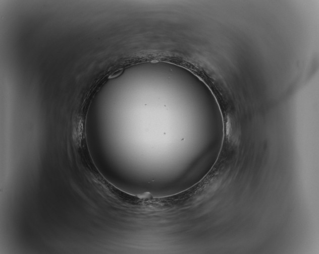 X0000096701492200802191437