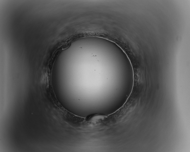X0000096701493200802191437