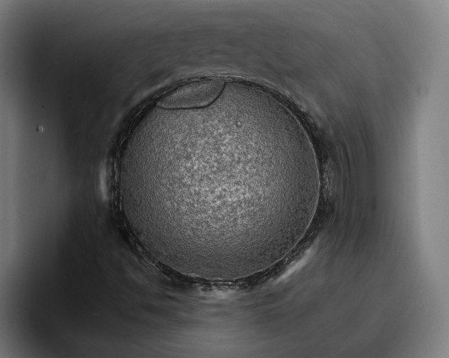 X0000096701494200802191437