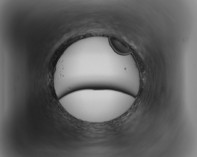 X0000096701495200802191437