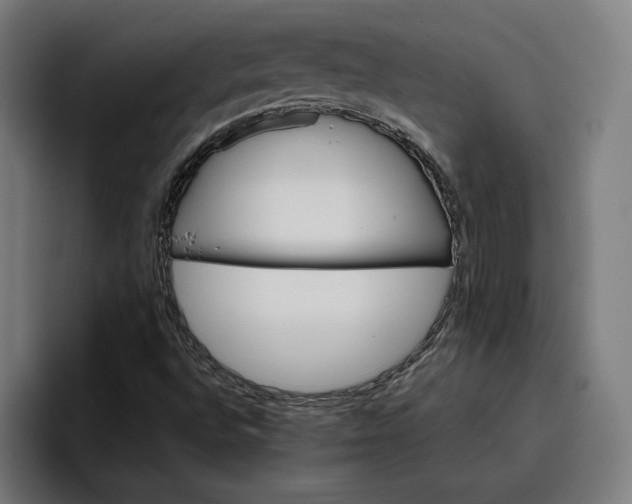 X0000096701496200802191437