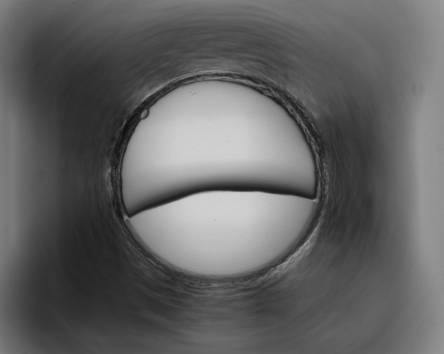 X0000096701497200802191437