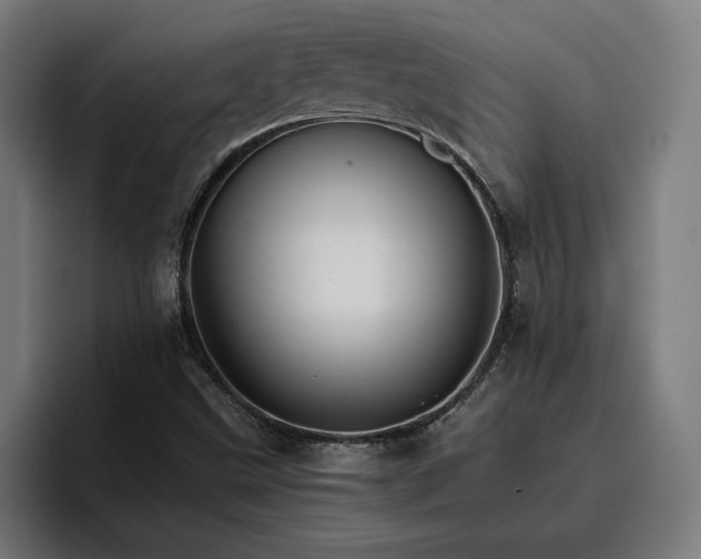 X0000096701499200802191438