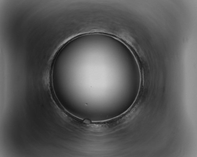 X0000096701500200802191438
