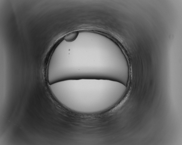 X0000096701501200802191438