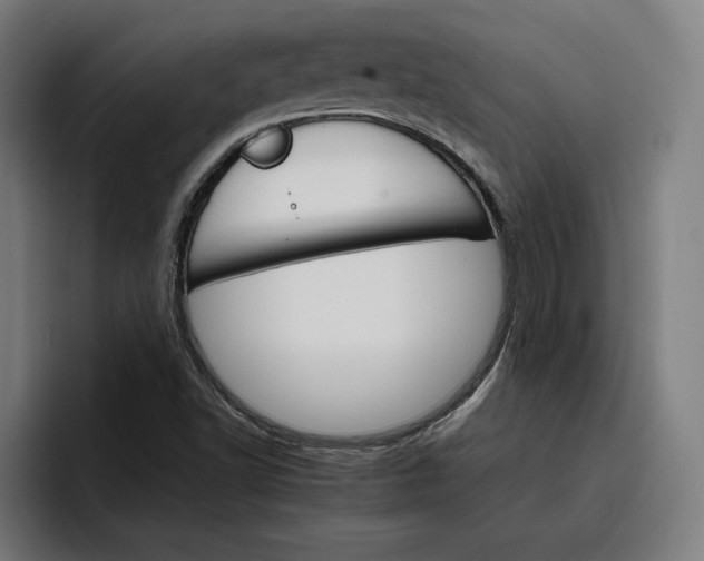 X0000096701502200802191438