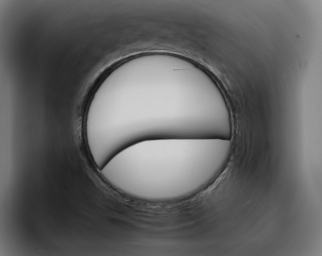 X0000096701503200802191438