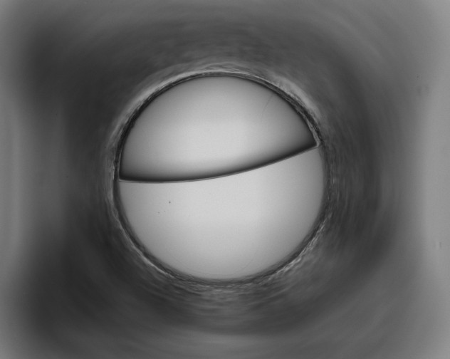 X0000096701504200802191438