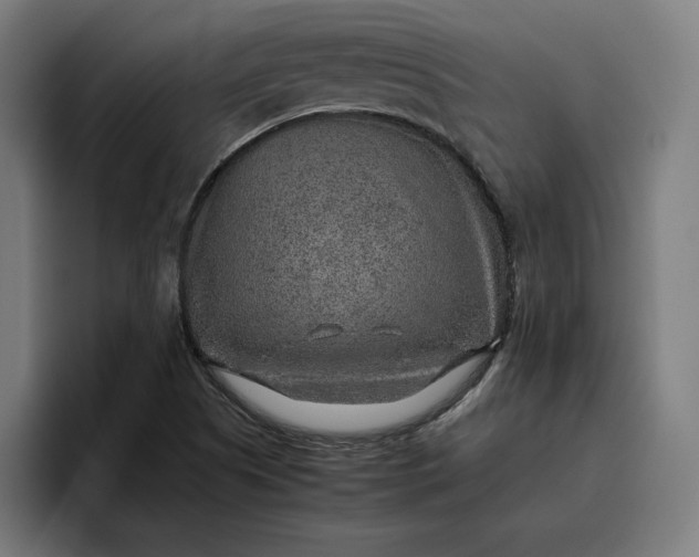 X0000096701505200802191438
