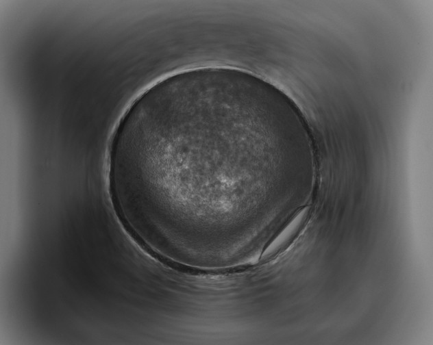 X0000096701508200802191438