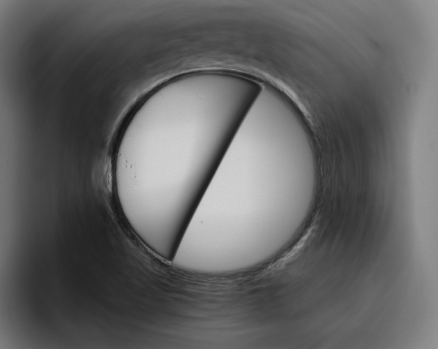 X0000096701509200802191438