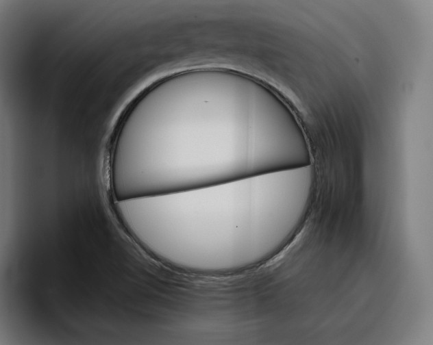 X0000096701510200802191438