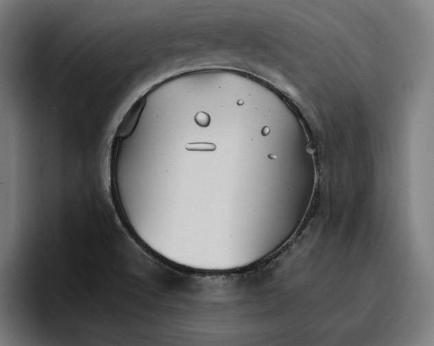 X0000096701512200802191438