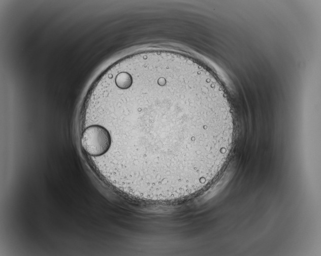 X0000096701514200802191438