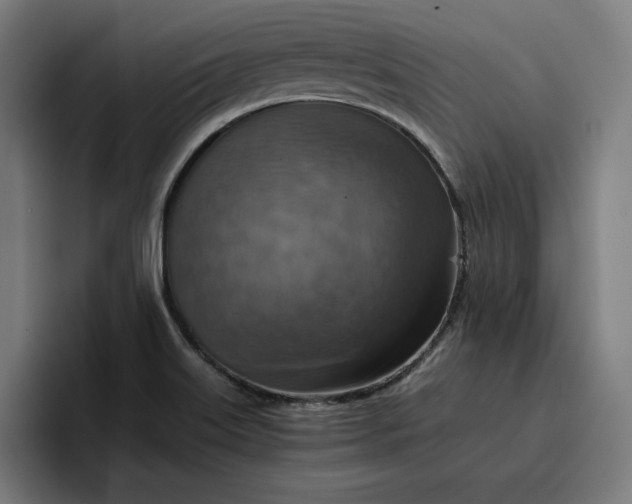 X0000096701515200802191438