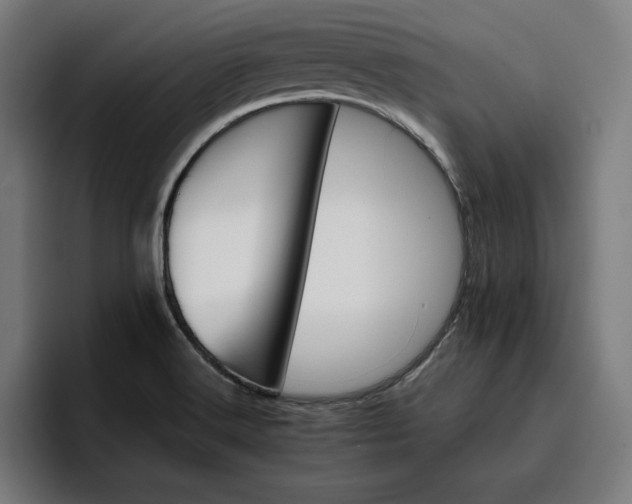 X0000096701516200802191438
