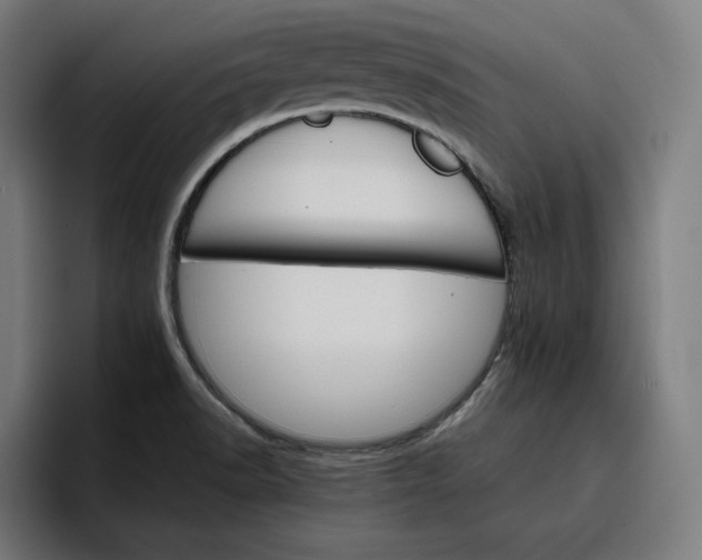 X0000096701518200802191438