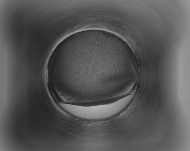 X0000096701519200802191438