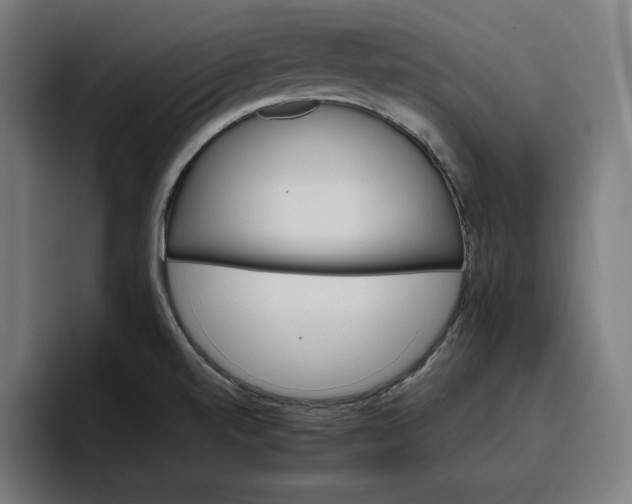 X0000096701520200802191438