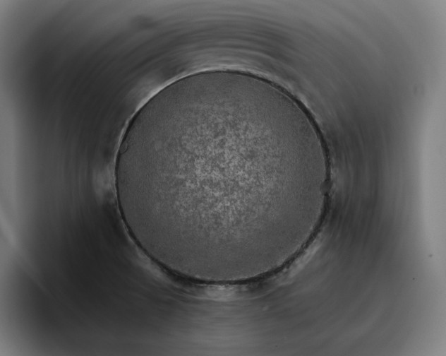 X0000096701521200802191438