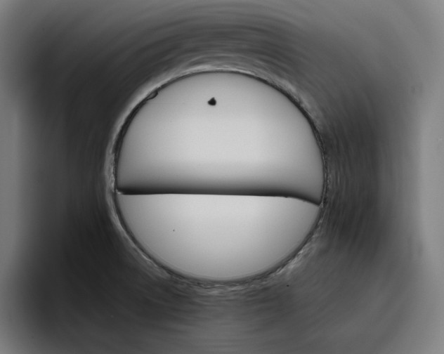 X0000096701522200802191438