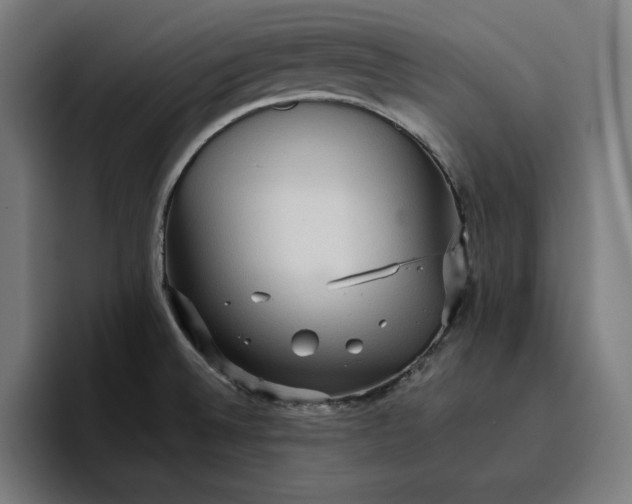 X0000096701524200802191438