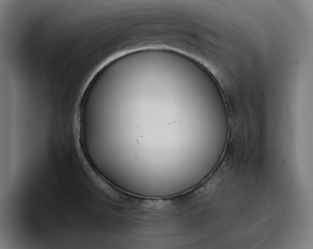 X0000096701526200802191438
