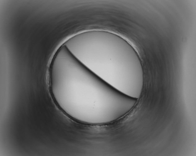 X0000096701527200802191438