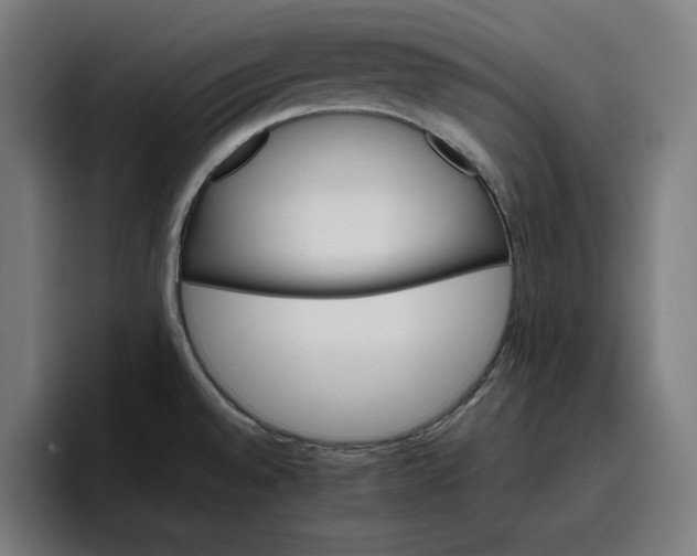 X0000096701528200802191438