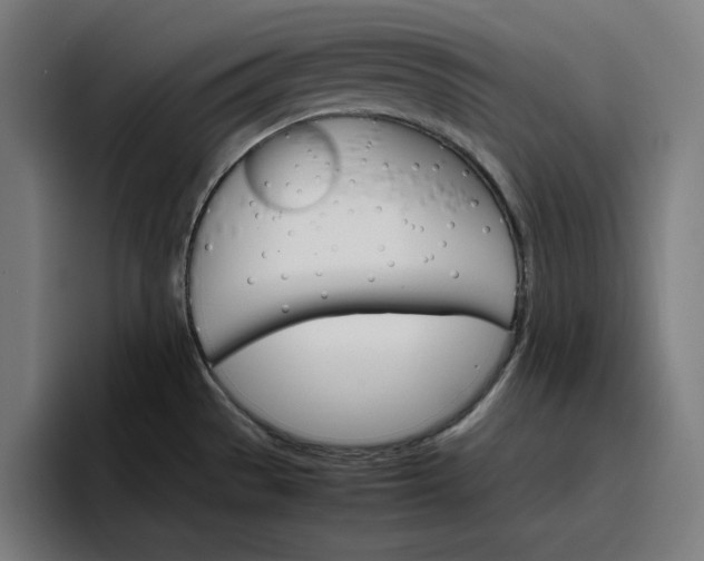 X0000096701529200802191438