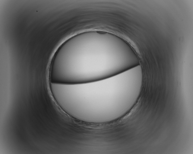 X0000096701530200802191438