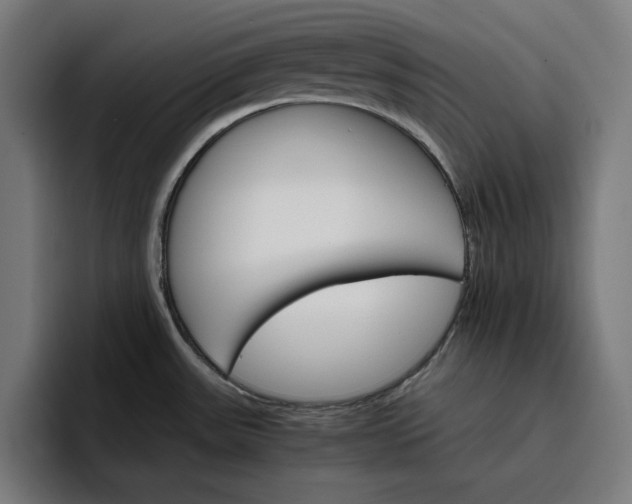 X0000096701531200802191438