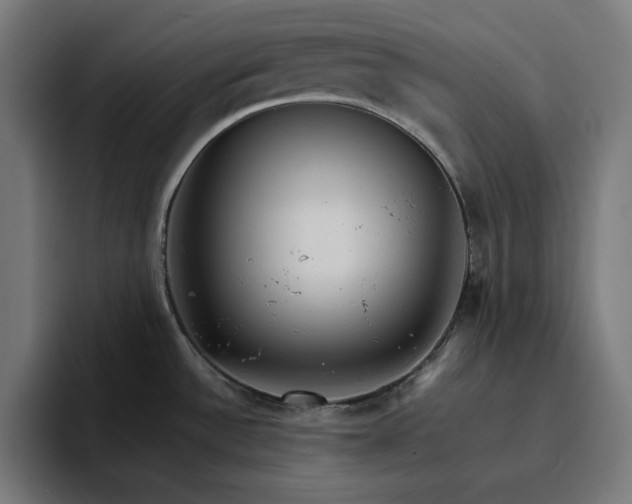 X0000096701532200802191438