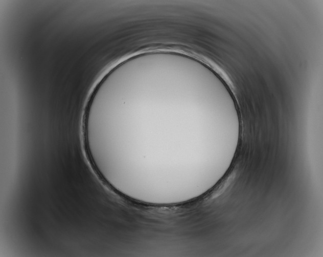 X0000096701533200802191438