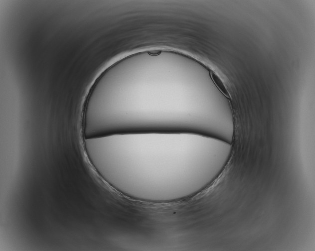 X0000096701534200802191438