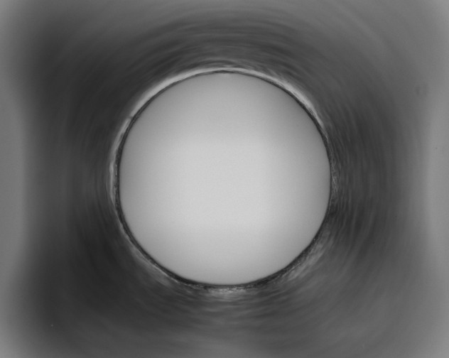 X0000096701535200802191438
