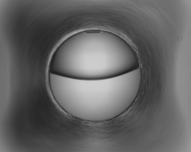 X0000096701536200802191438