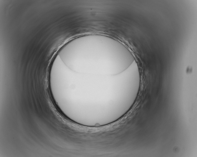 X0000096700002200802261616