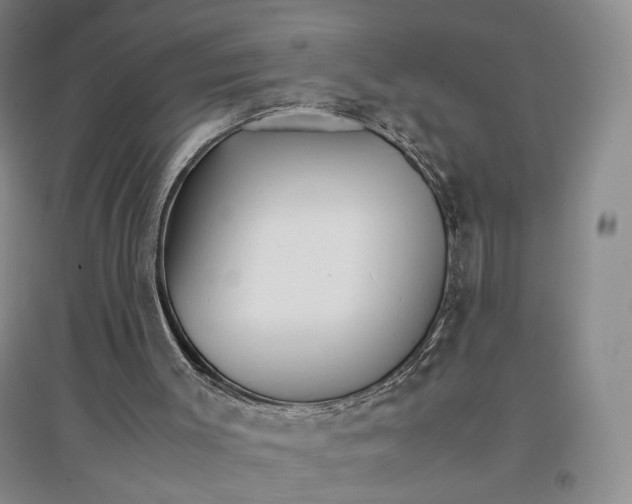 X0000096700003200802261616