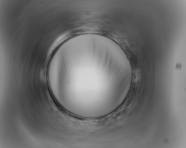 X0000096700004200802261616