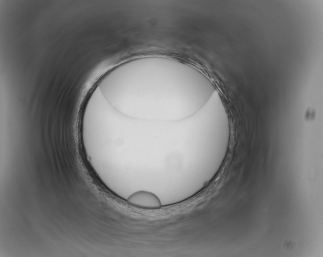 X0000096700006200802261616