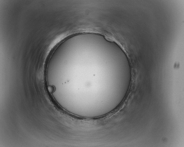 X0000096700008200802261616