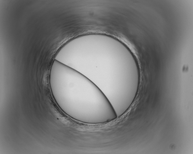 X0000096700009200802261616