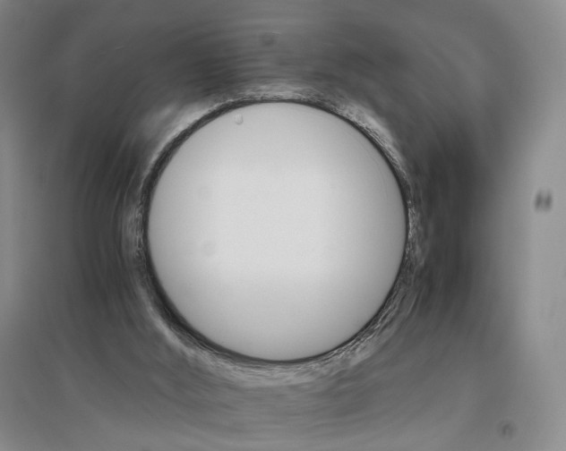 X0000096700012200802261616