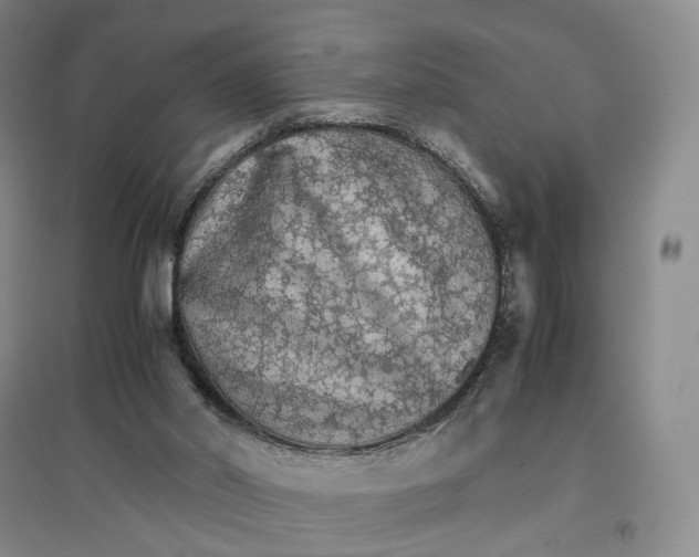 X0000096700014200802261616